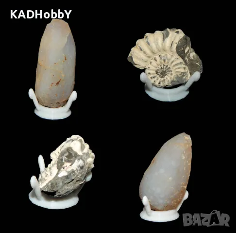 Поставка за минерали, фосили, колекции 2, снимка 3 - Колекции - 48515701