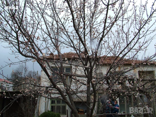 Каменна къща близо до яз. Ивайловград - спокойствие и природа!, снимка 5 - Къщи - 53427405