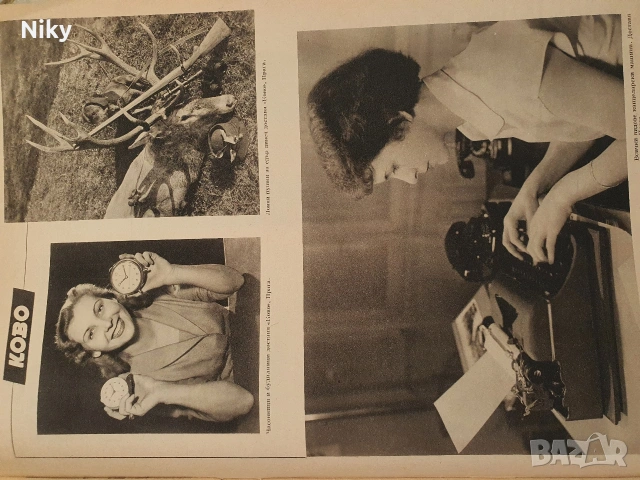 Чехословакия 1955г. , снимка 9 - Колекции - 53255196