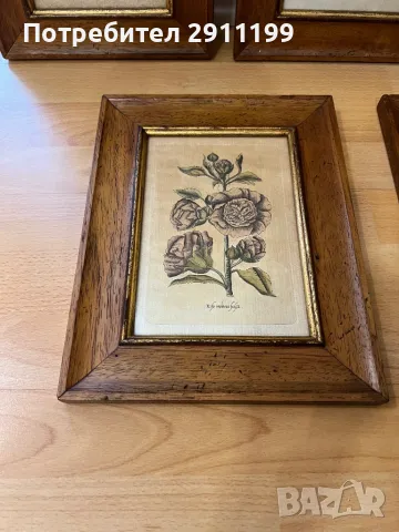 Комплект антикварни картини, 5бр., снимка 6 - Картини - 47292474