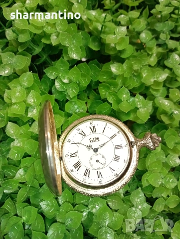 Clyda Paris 17 Jewels механичен , снимка 7 - Мъжки - 53387313