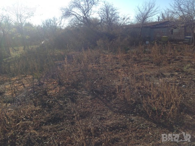 Парцел в регулация 1126 кв.м. в село Смолница област Добрич, снимка 2 - Парцели - 35554533