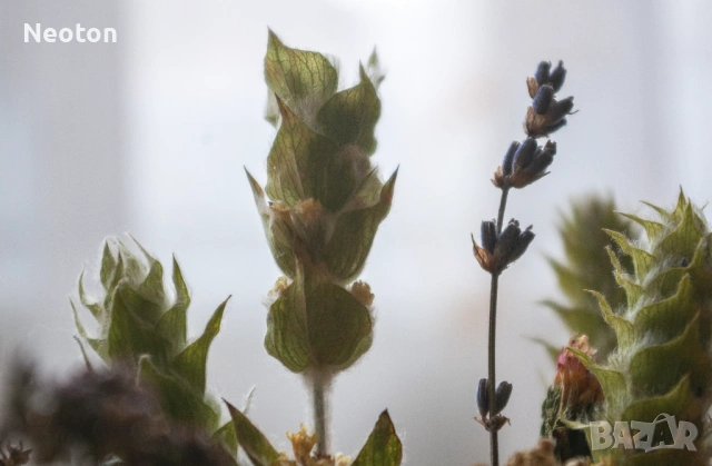 Продавам отличен PENTAX *ist DL2 с аксесоари, снимка 17 - Фотоапарати - 53402251