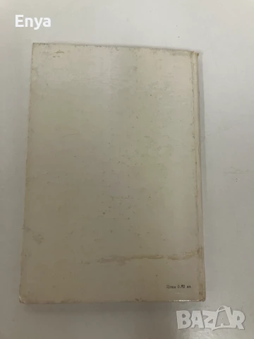 Цецег и камилата -  Жамбин Дашдондог (1981 г.) , снимка 3 - Детски книжки - 50897387