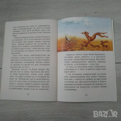 Детска книжка Ловните приключения на Барон Мюнхаузен, снимка 6 - Детски книжки - 33058718