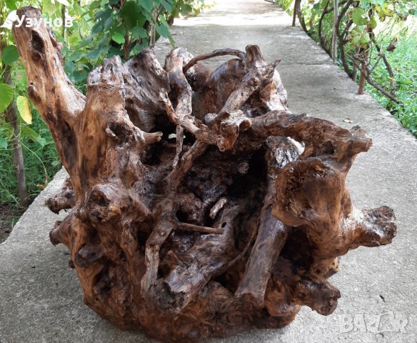 Декорация за градина-корен от дъб, снимка 11 - Декорация за дома - 37780550