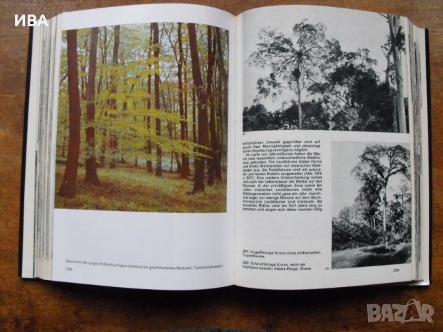 Der Grosse Bildatlas des Waldes /на немски език/, J.Jenik., снимка 5 - Енциклопедии, справочници - 39564724