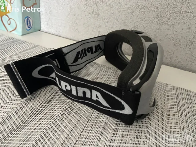 Ски/Мото Очила Маска Alpina, снимка 5 - Зимни спортове - 49342514