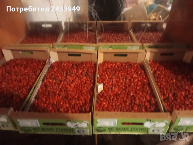 Продавам шипки еко район, снимка 2 - Други - 51966588