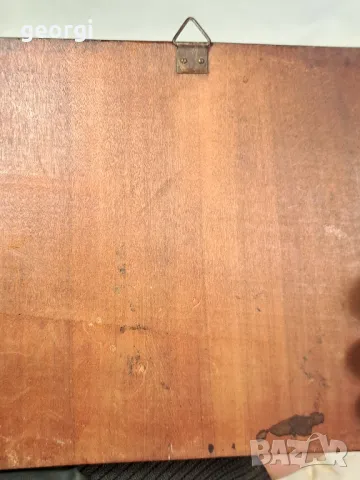 пано за стена гекон дърворезба 23/4, снимка 6 - Пана - 49332285