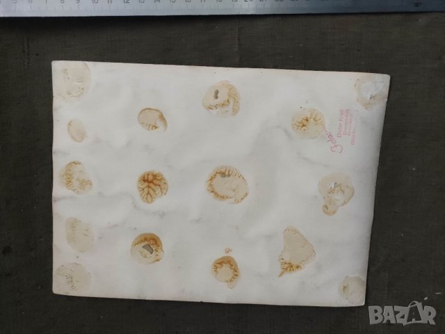 Продавам стара снимка Цирк / циркови артисти семейство Бойчанови 1960 год., снимка 4 - Антикварни и старинни предмети - 39152284