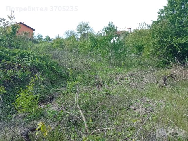 почистване на запустели парцели (имоти) рязане и изкореняване на дървета , снимка 11 - Други почистващи услуги - 43658984