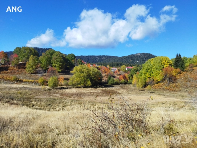 Продава парцел в Смолянски езера , снимка 2 - Парцели - 52178672