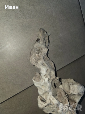 корен от дърво с камъни в него, снимка 8 - Декорация за дома - 53568968