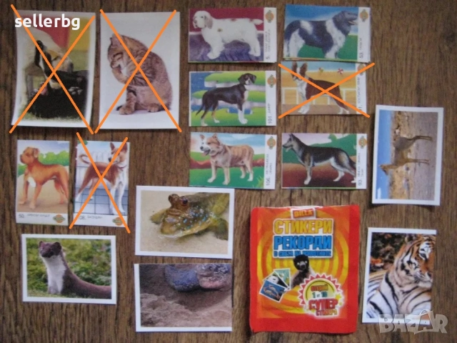 Картинки СпейсДжем Том Джери Екшън мен Покахонтас ваденки банкноти животни анимации, снимка 7 - Колекции - 16643371