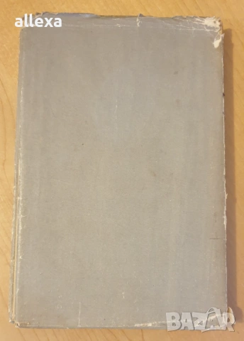 " Терез Ракен ", снимка 5 - Художествена литература - 17037102