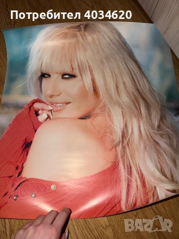 Плакат на Камелия