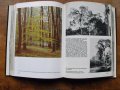 Der Grosse Bildatlas des Waldes /на немски език/, J.Jenik., снимка 5