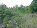 почистване на запустели парцели (имоти) рязане и изкореняване на дървета , снимка 11