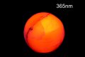 Сфера от флуоресцентен манганокалцит 168g 49mm №4, снимка 1 - Други ценни предмети - 43807361
