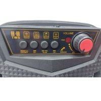 Караоке Тонколона PAudio PA-060, 6.5инча, Микрофон, акумулаторна батерия, Bluetooth, FM радио, USB, снимка 4 - Тонколони - 43281987