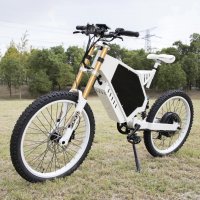 Рамка за електрическо колело, снимка 16 - Части за велосипеди - 43178814
