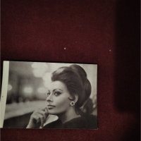 Картичка/снимка италианската актриса София Лорен, снимка 1 - Колекции - 43587038