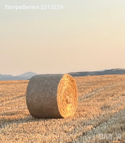 Рулонни бали слама , снимка 1