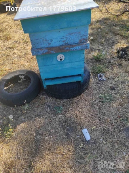 пчели с кошерите, снимка 1