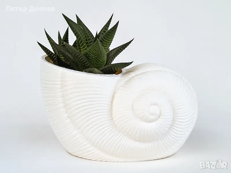 Кашпа за саксия праисторически охлюв, снимка 1