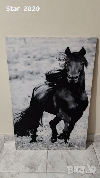 Светеща картина с LED осветление - черен кон 🐎, снимка 1