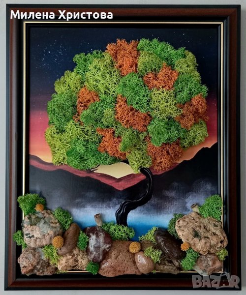 Картина със скандинавски мъх и морски камъчета , снимка 1