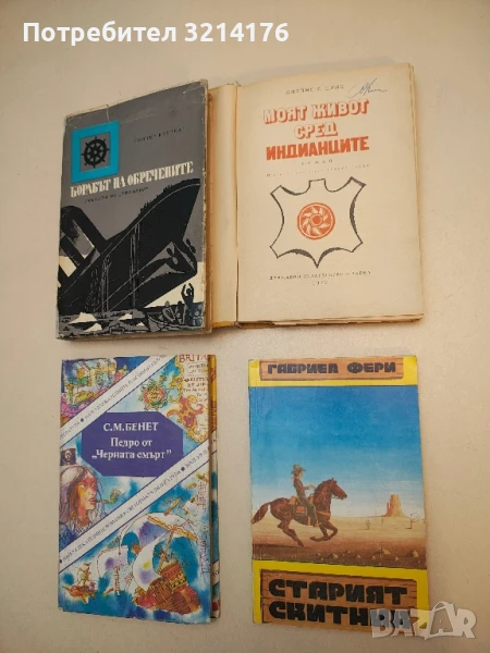 Старият скитник - Габриел Фери, снимка 1