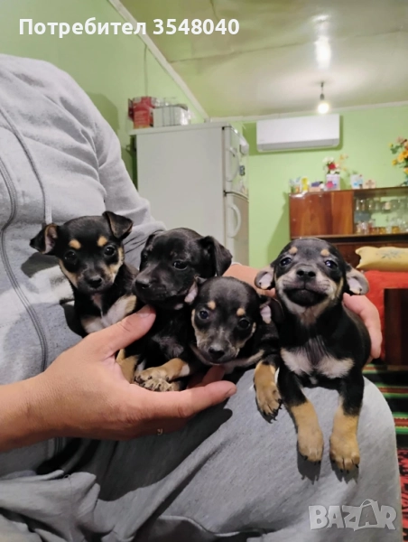 продавам, снимка 1