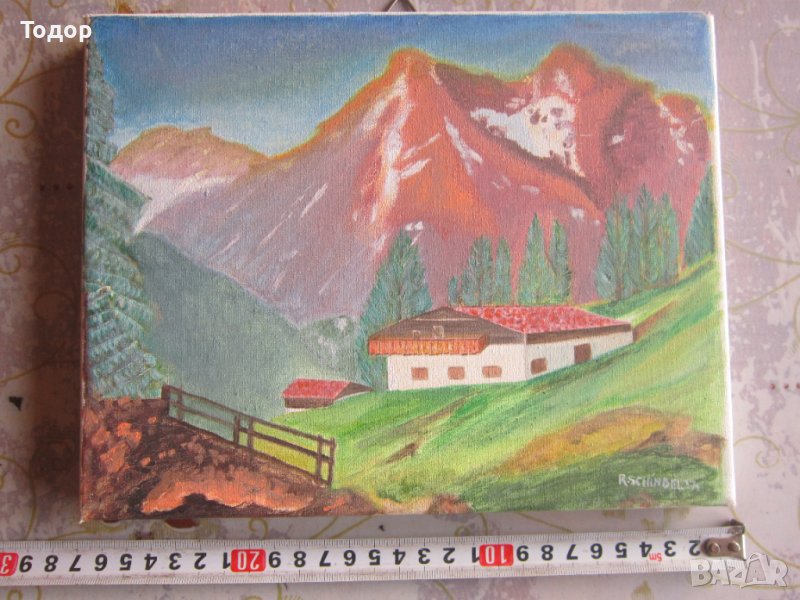 Рисувана картина масло върху платно подписана , снимка 1