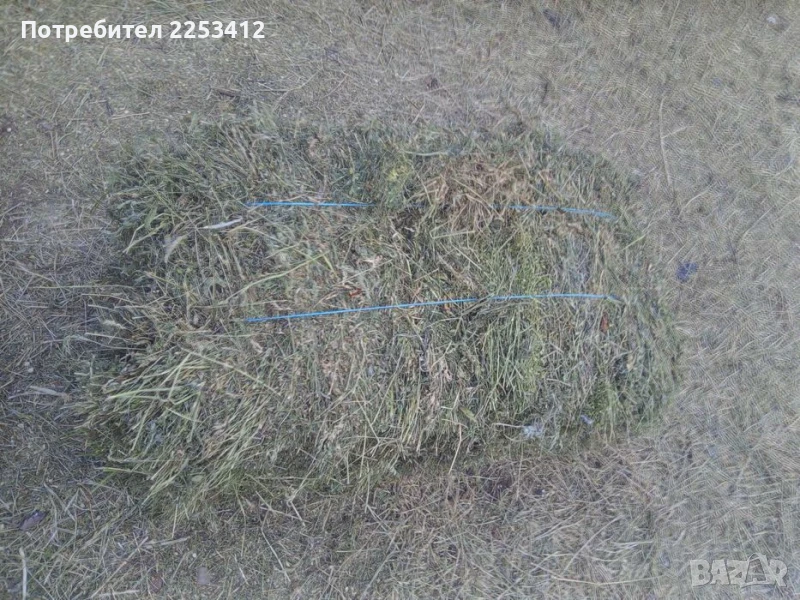 Продавам бали люцерна- 6 лв, снимка 1
