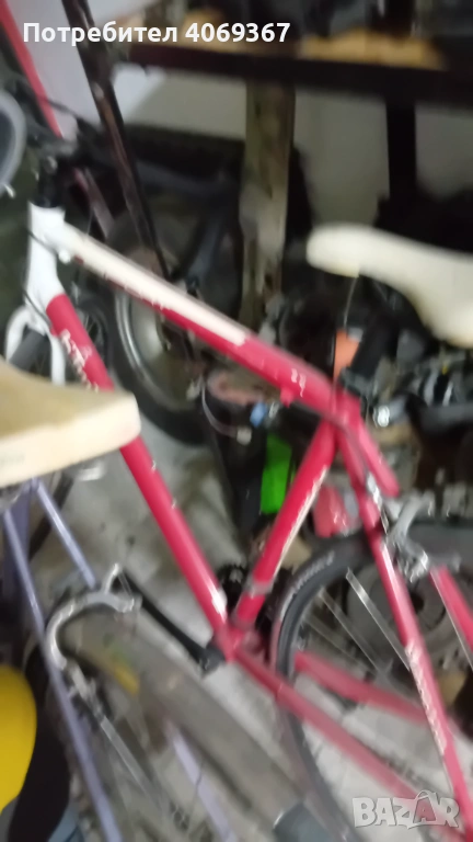 Бегач марков, снимка 1