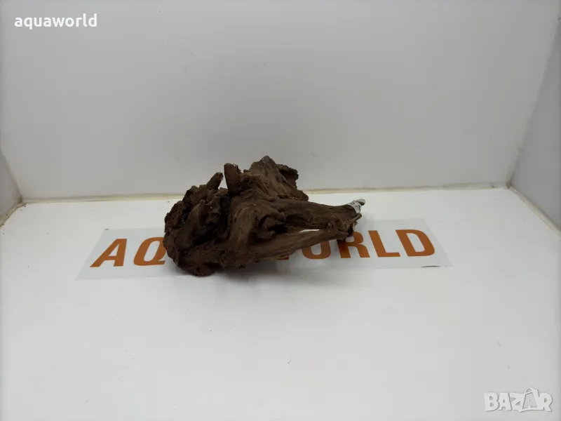 Мангров корен 82, снимка 1