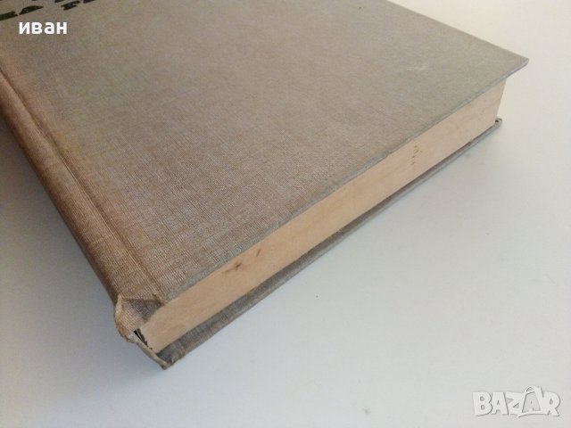 Децата на Капитан Грант - Жюл Верн - 1983г, снимка 9 - Художествена литература - 37414705