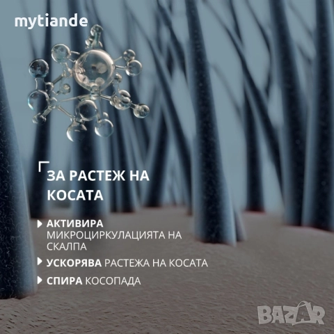 Шампоан/Балсам ЗЛАТЕН ДЖИНДЖИФИЛ , снимка 6 - Продукти за коса - 37974792