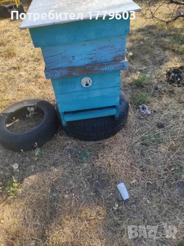 пчели с кошерите, снимка 1