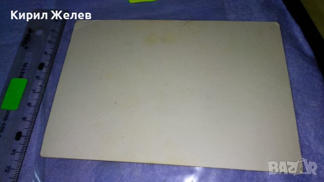 ХРИСТО БОТЕВ с БРАТЯТА си Стара ИСТОРИЧЕСКА ФОТОГРАФИЯ КАРТИЧКА СНИМКА за КОЛЕКЦИЯ 32312, снимка 2 - Колекции - 38642275