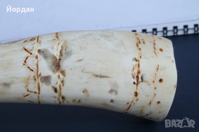 Ловна свирка от рог , снимка 3 - Антикварни и старинни предмети - 37512898