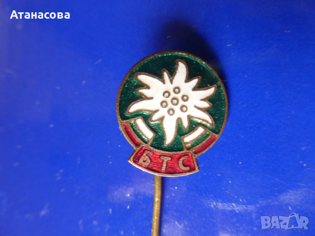 Значка Еделвайс БТС емайл, снимка 2 - Колекции - 44865718