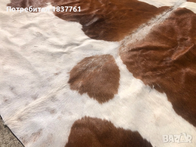 Телешка кожа , снимка 4 - Други стоки за дома - 52242953