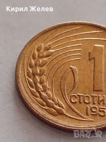 МОНЕТА 1 стотинка 1951г. От соца перфектно състояние уникат за КОЛЕКЦИОНЕРИ 32764, снимка 5 - Нумизматика и бонистика - 38530494