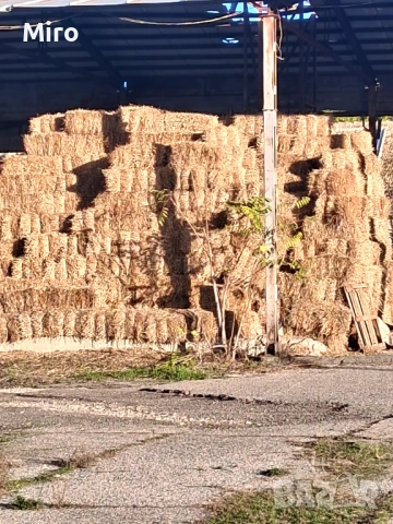 Малки Бали слама