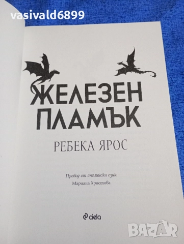 Ребека Ярос - Железен камък , снимка 4 - Художествена литература - 52285868