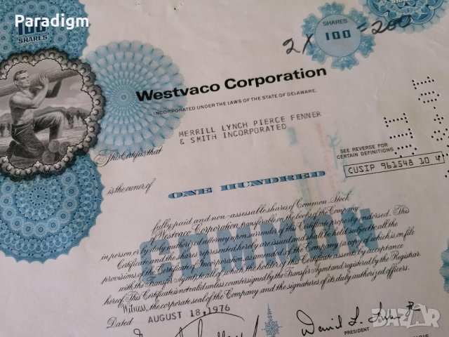 Сертификат за 100 акции | West Virginia Pulp and Paper | 1976г., снимка 3 - Други ценни предмети - 34640335