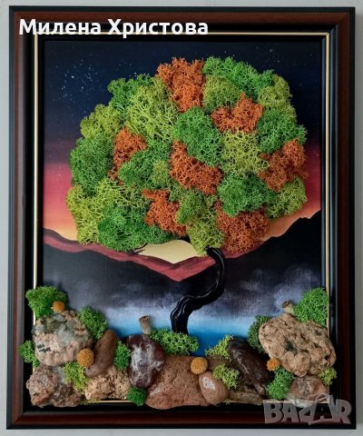 Картина със скандинавски мъх и морски камъчета 